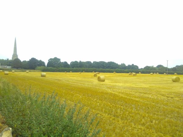 Caythorpe