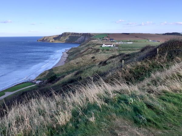 Cayton