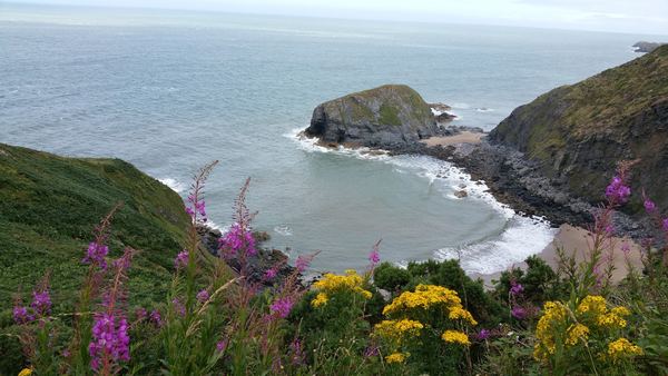 Ceredigion