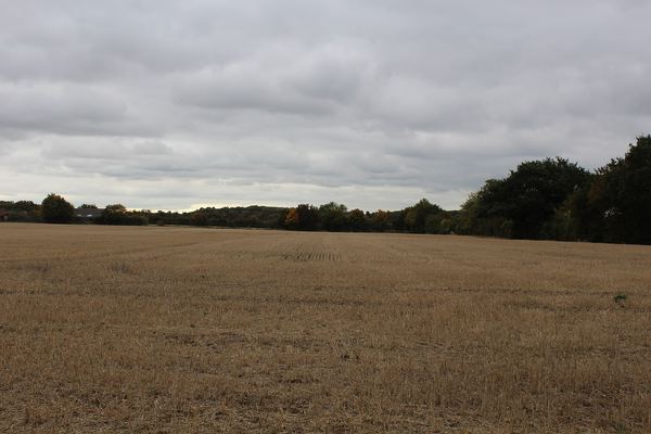 Chatham Green