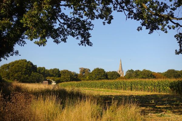 Chiddingly