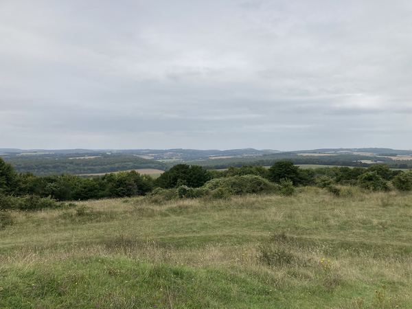 Chilgrove