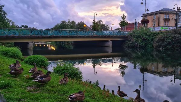 Chippenham