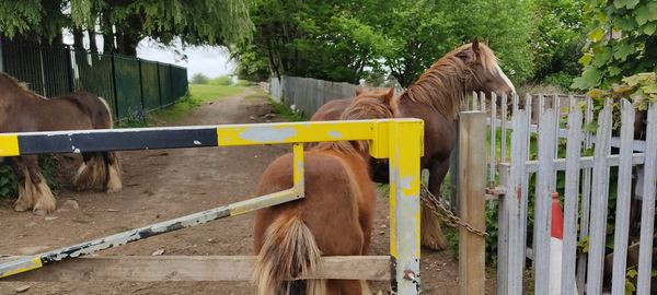 Clase