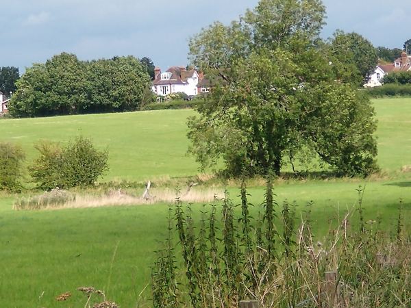 Claygate