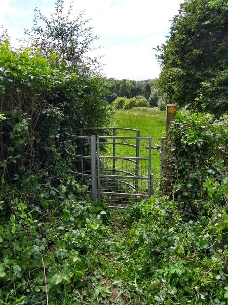 Clutton