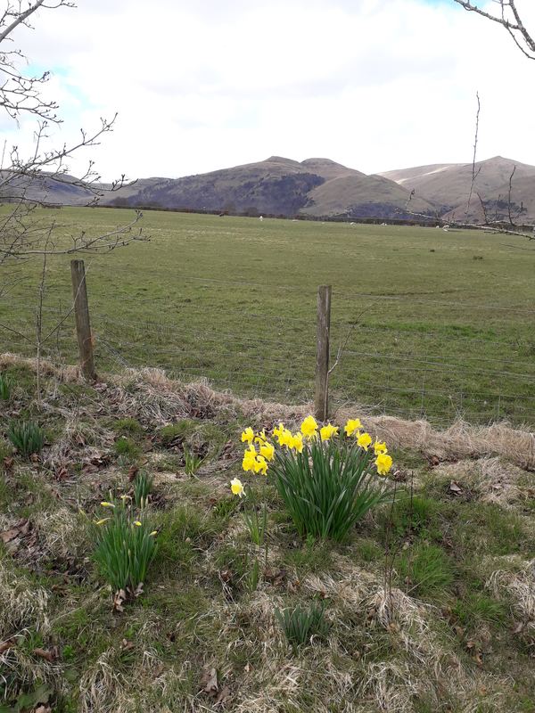 Coalsnaughton