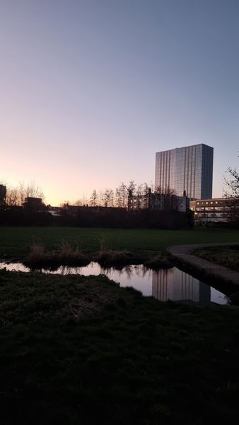 Colliers Wood