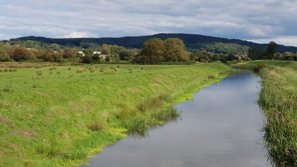 Congresbury