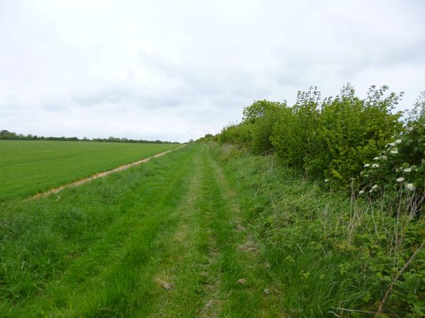 Coombe Bissett