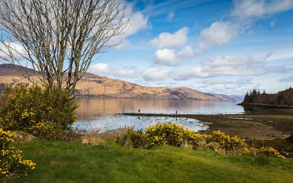 Corran