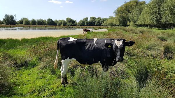Cossington