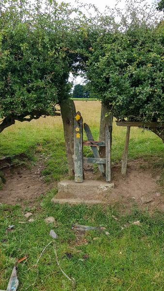 COTHERSTONE