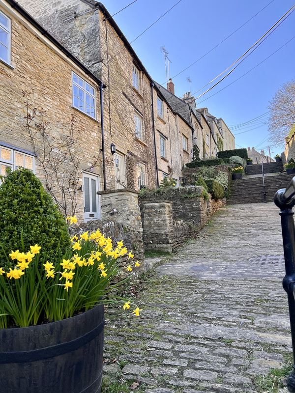Cotswold