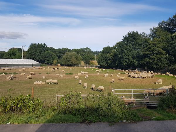Craven Arms