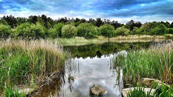 CROFTON