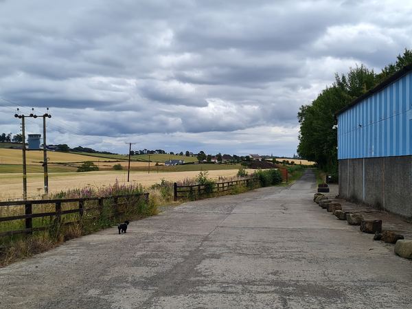 Crossford