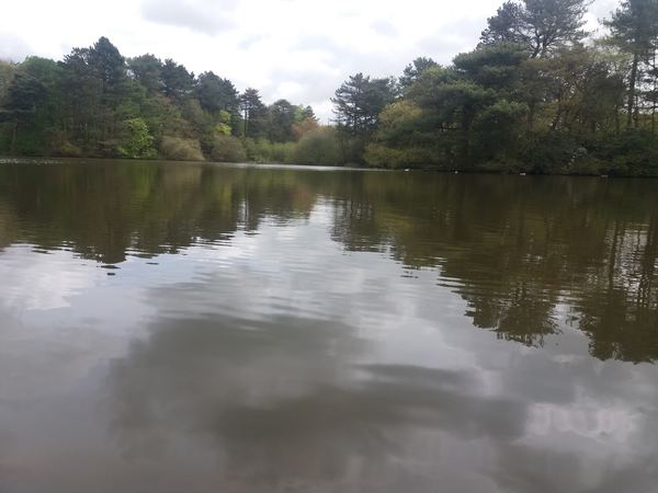 Cuerden