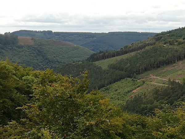 Cwmcarn