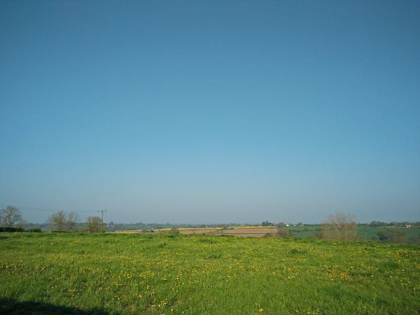 Dalbury