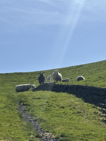 Denholme