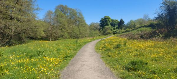 Disley