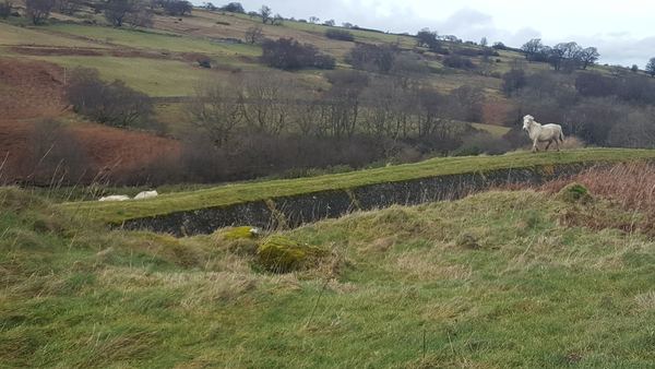 Dolgarrog