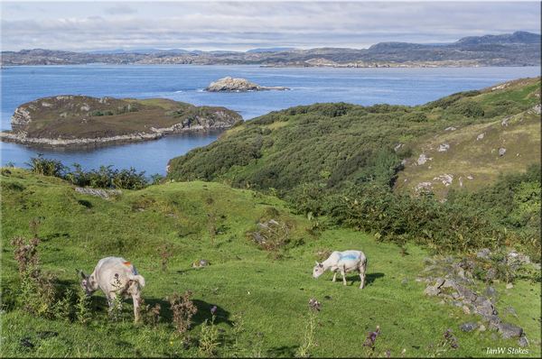 Drumbeg