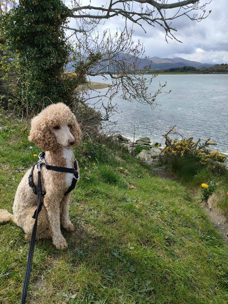 Dundrum