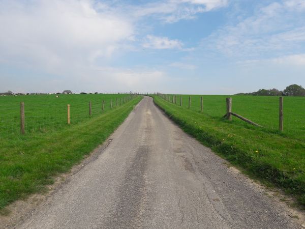 Dunsfold