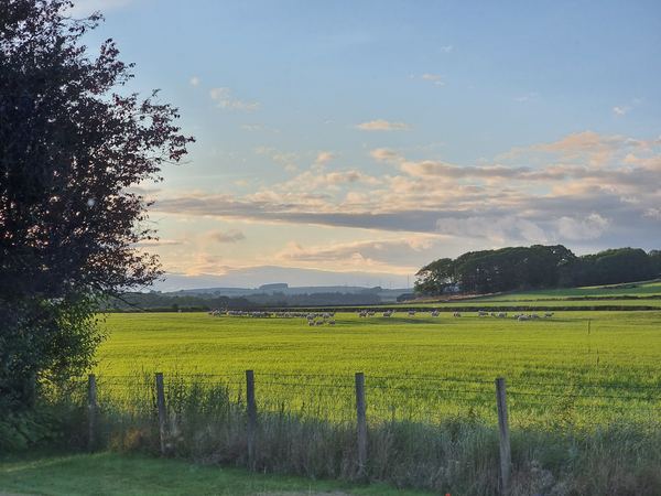 Eaglesfield