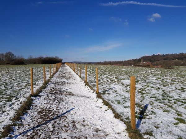 Earlswood