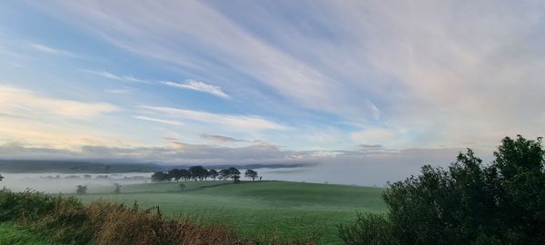 East Ayrshire