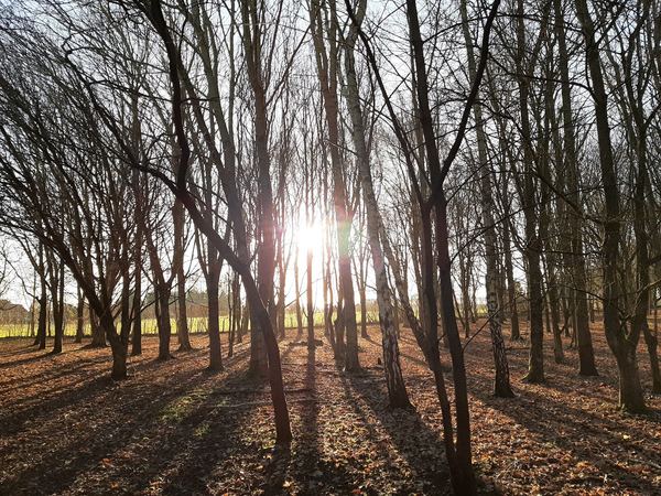 East Malling