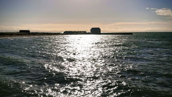 Elie