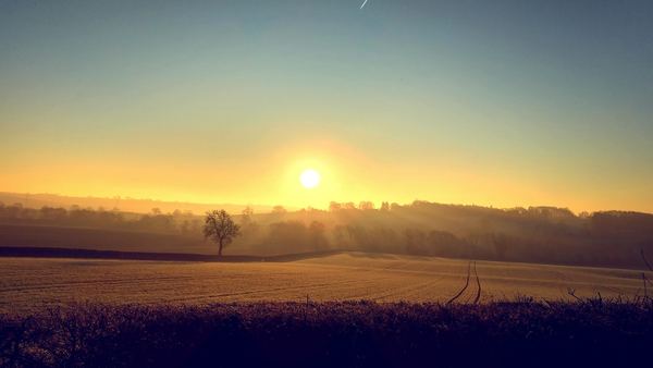 Everdon