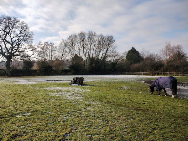 Finchampstead