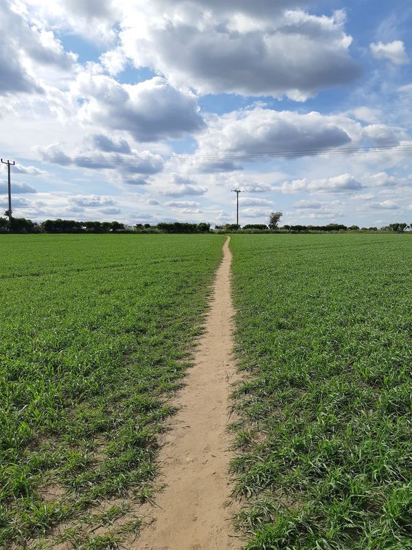 Fiskerton