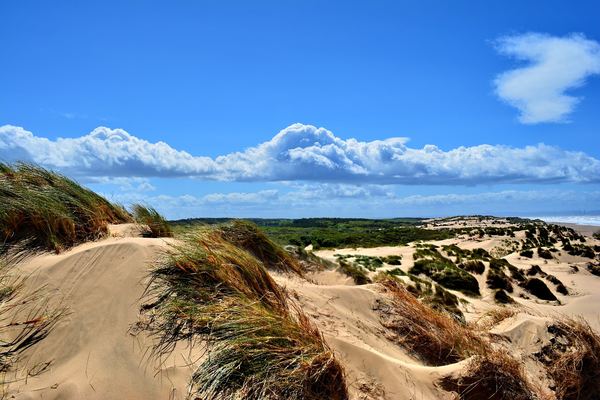 Formby