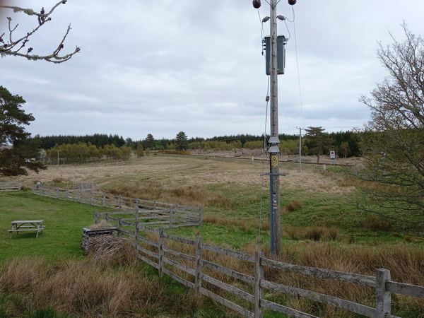 Forsinard
