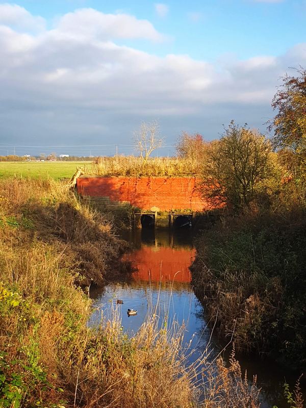 Freckleton