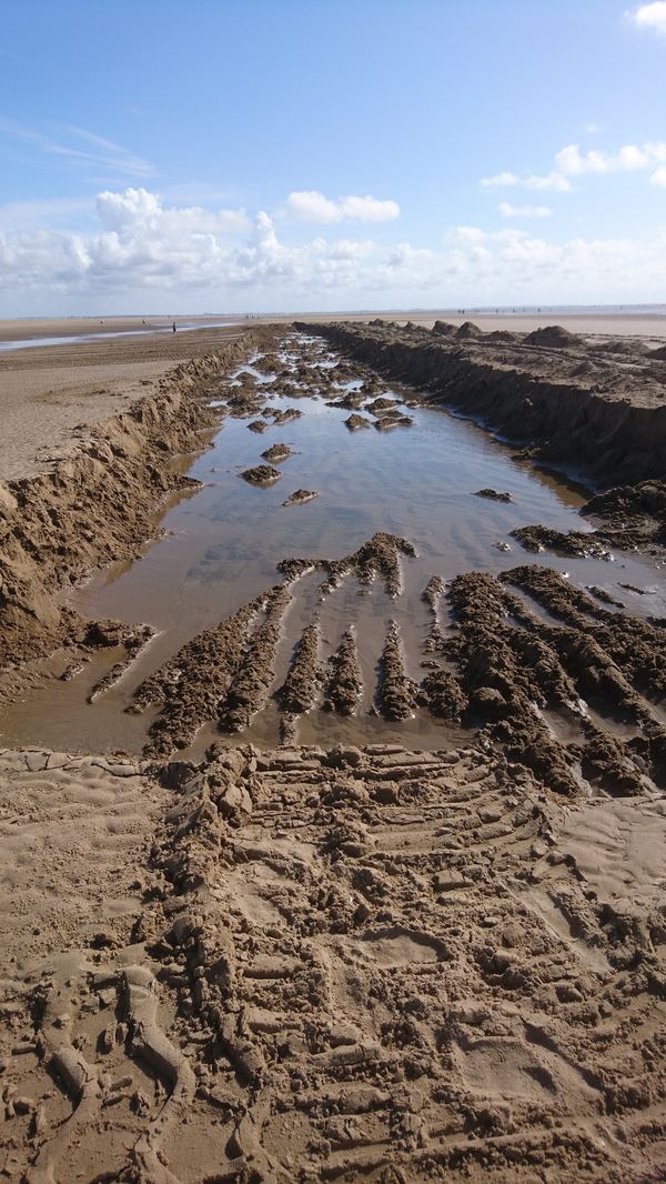 Fylde