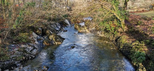 Ganllwyd