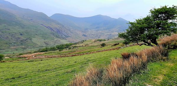 Garndolbenmaen
