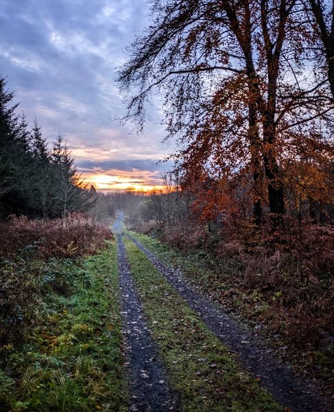 Garvagh