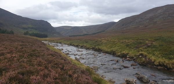 Glenesk