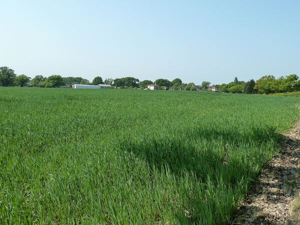 Goddards Green