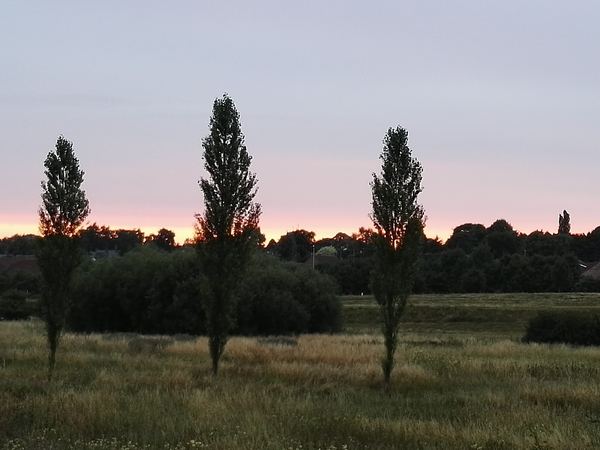 Grange Park