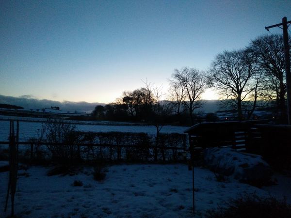 Greenlaw