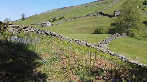 Gunnerside